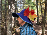 Picture of Autumn on the Superior Hiking Trail Picture of Autumn on the Superior Hiking Trail