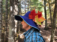 Picture of Autumn on the Superior Hiking Trail