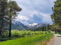 Lake Tahoe Wellness on the Water | Lake Tahoe, California Yoga, Paddle Boarding, Kayaking, Hiking, Wellness Lake Tahoe Wellness on the Water | Lake Tahoe, California Yoga, Paddle Boarding, Kayaking, Hiking, Wellness
