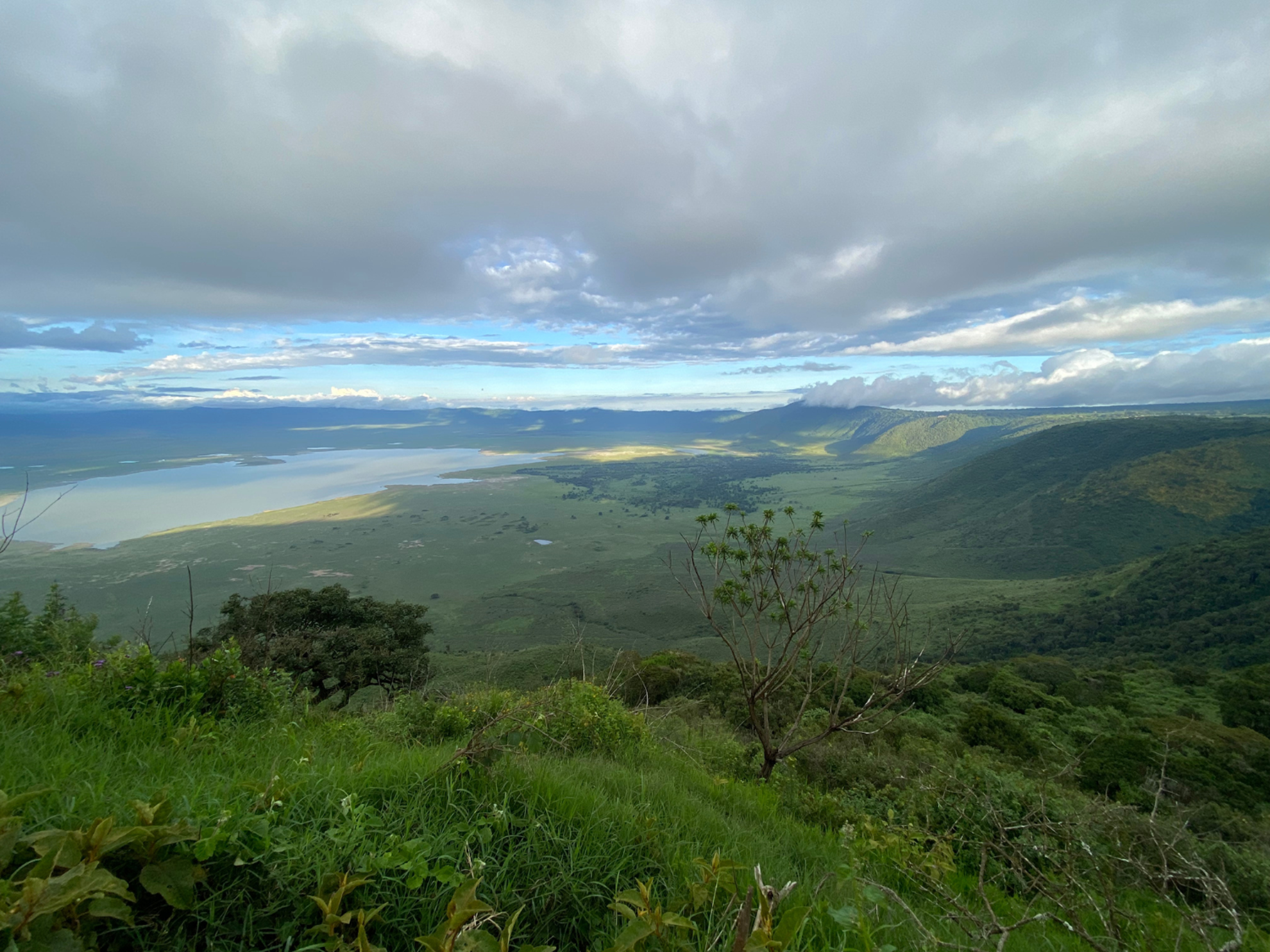 Picture of Tanzania Journey: Ngorongoro Highlands Trek and Wildlife Safari
