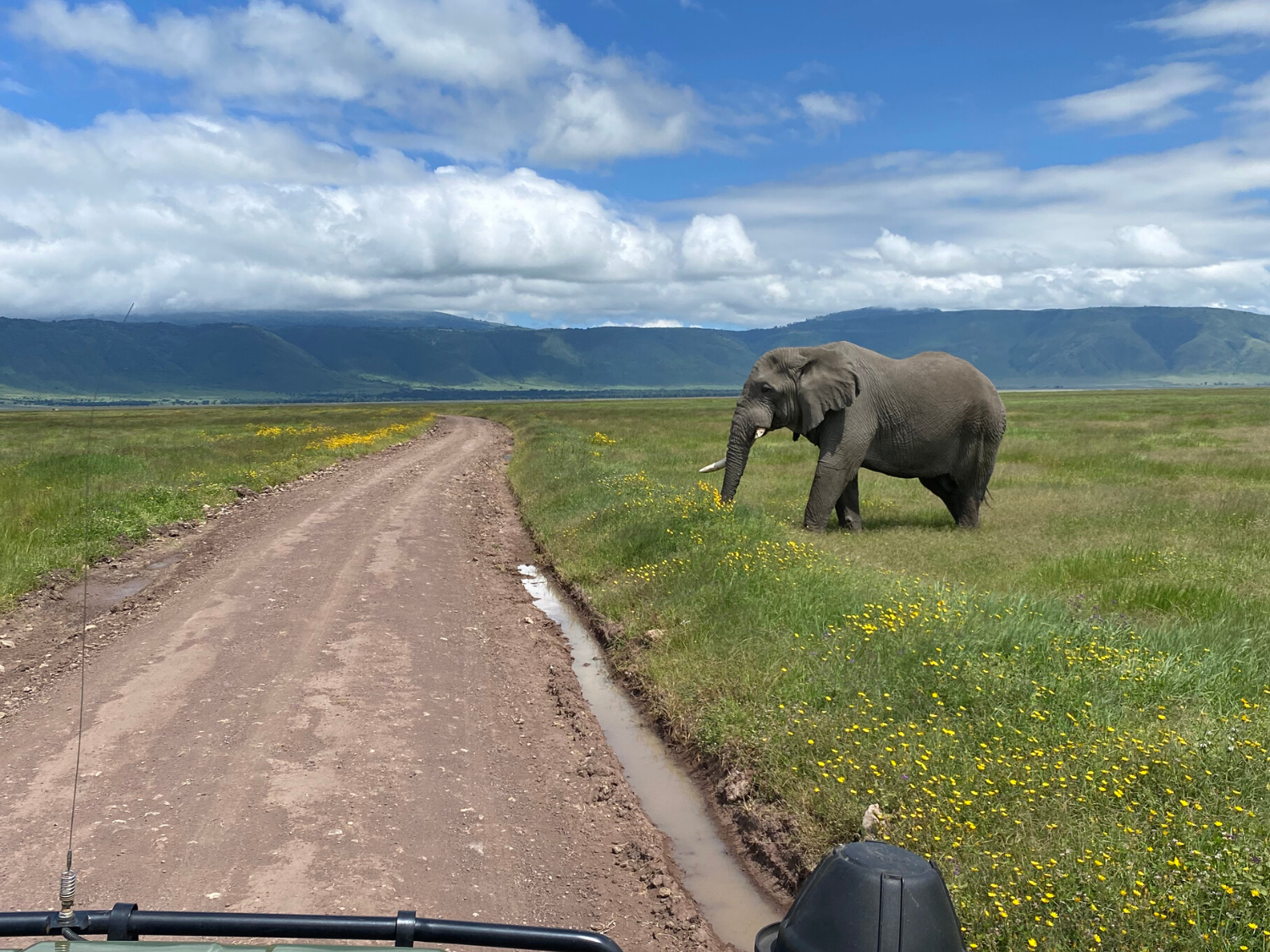 Picture of Tanzania Journey: Ngorongoro Highlands Trek and Great Migration