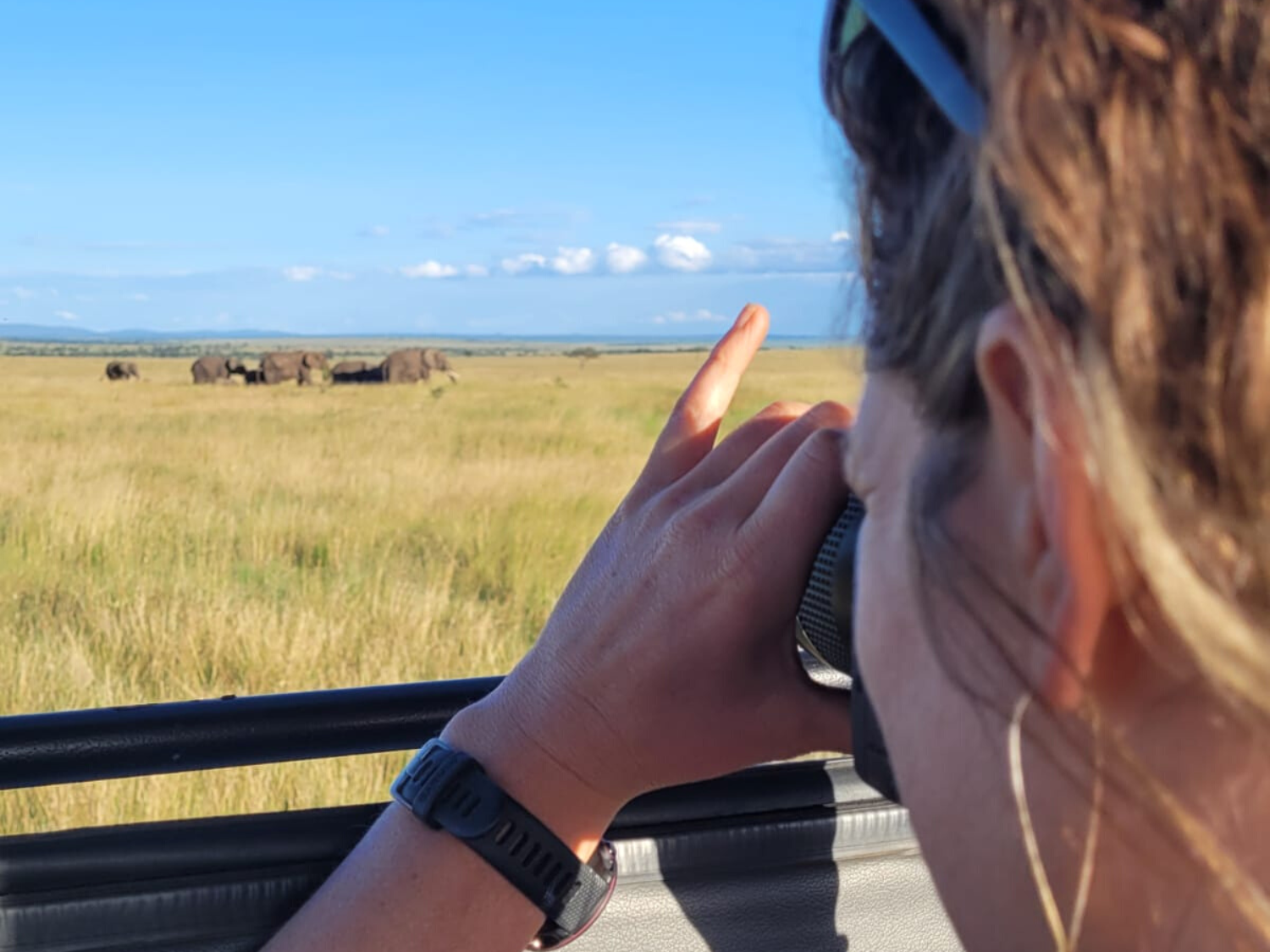 Picture of Tanzania Journey: Ngorongoro Highlands Trek and Great Migration