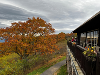 Picture of Hiking Lodge to Lodge in Shenandoah National Park