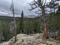 Picture of Intro to Backpacking Rocky Mountain National Park