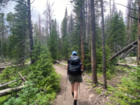 Picture of Intro to Backpacking Rocky Mountain National Park