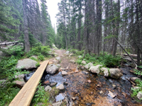 Picture of Intro to Backpacking Rocky Mountain National Park