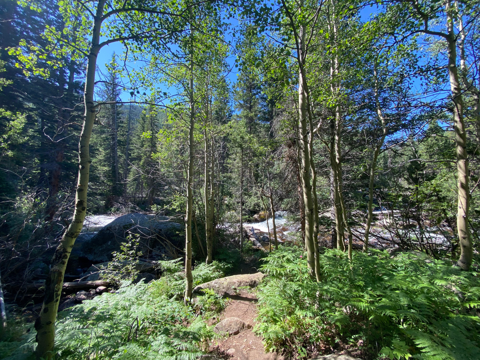 Picture of Intro to Backpacking Rocky Mountain National Park