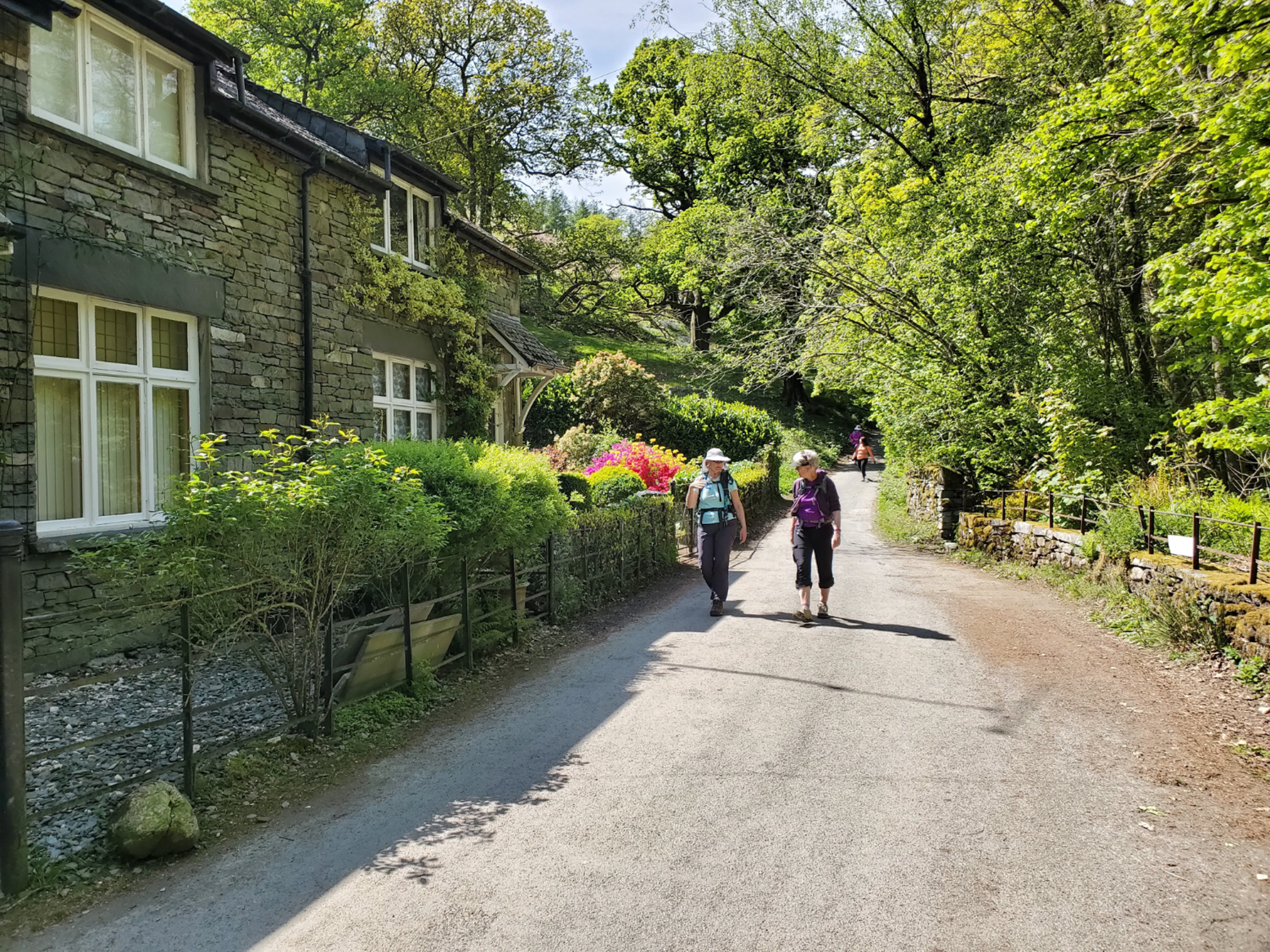 Picture of Hiking England's Lake District