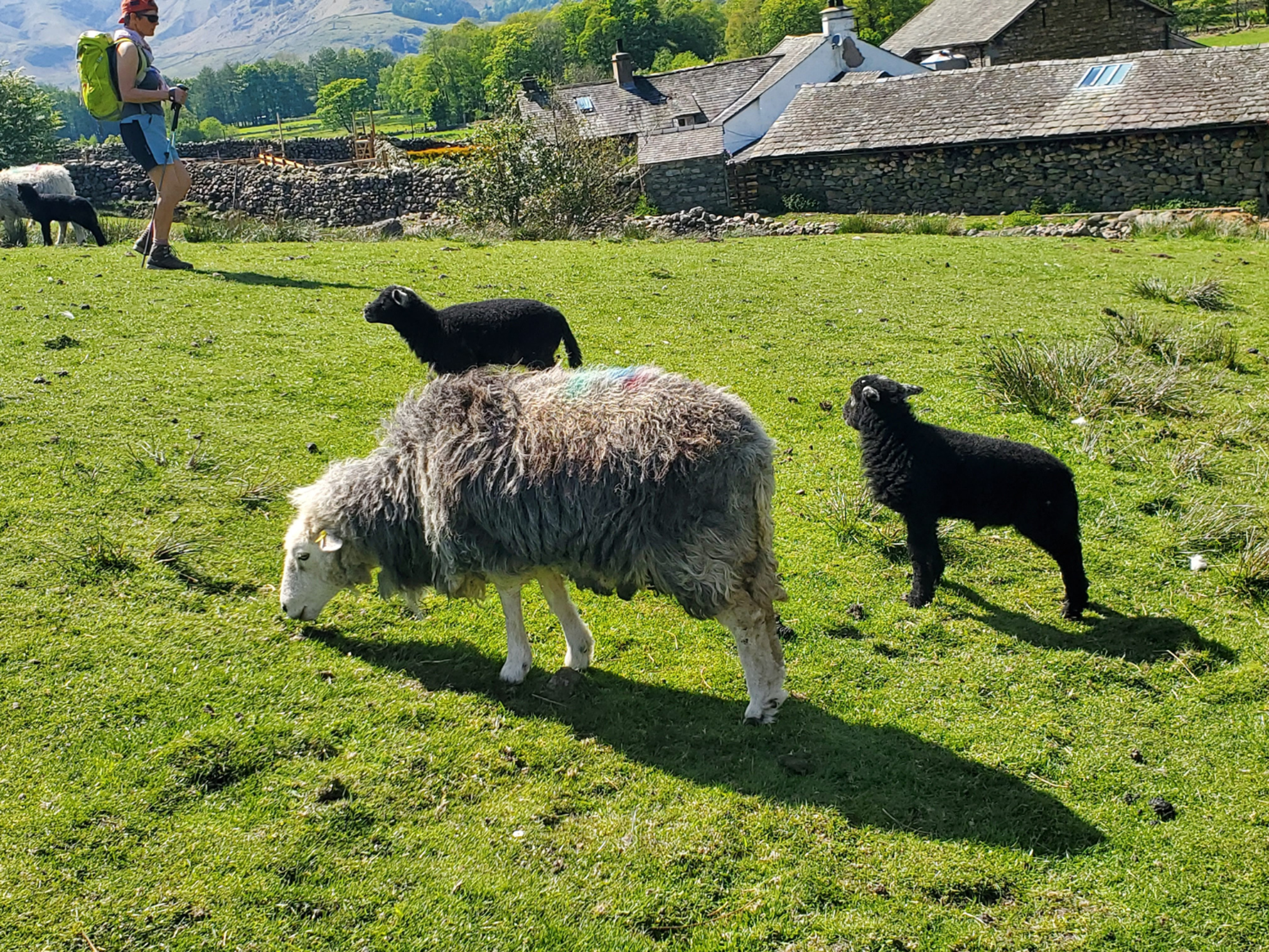 Picture of Hiking England's Lake District