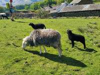Picture of Hiking England's Lake District Picture of Hiking England's Lake District
