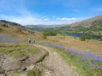 Picture of Hiking England's Lake District Picture of Hiking England's Lake District