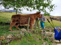 Picture of Hiking England's Lake District