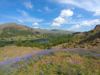 Picture of Hiking England's Lake District