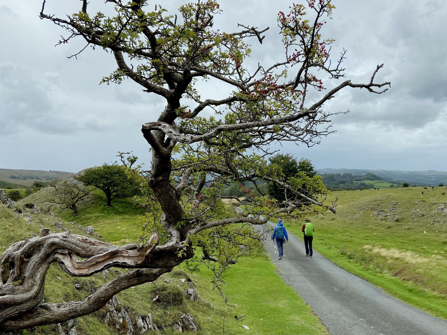 Picture of Hiking Wales