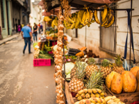 Picture of Discover the Rhythm and Heartbeat of Cuba