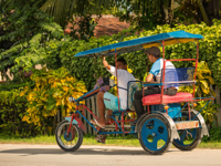 Picture of Discover the Rhythm and Heartbeat of Cuba