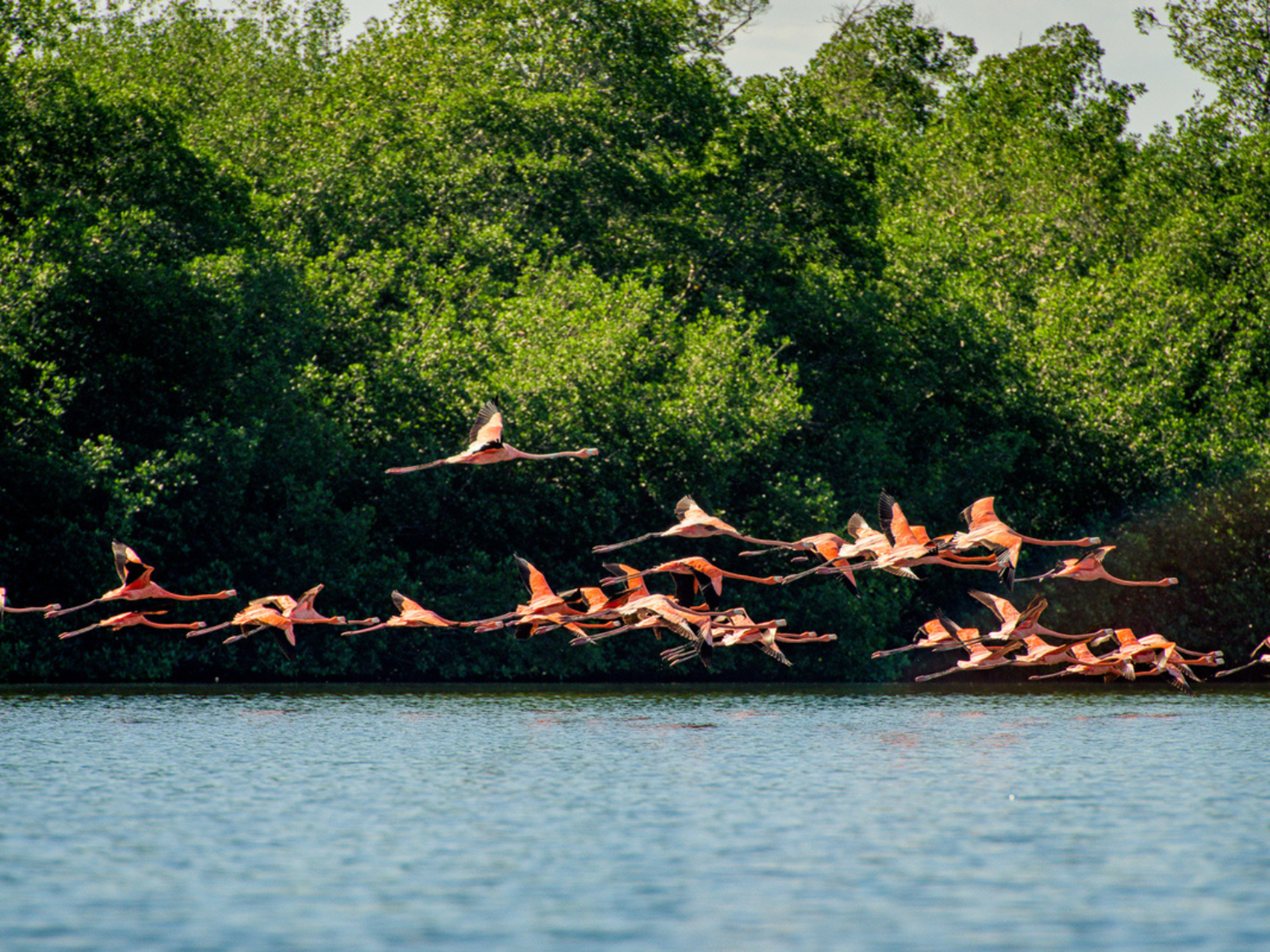 Picture of Discover the Rhythm and Heartbeat of Cuba