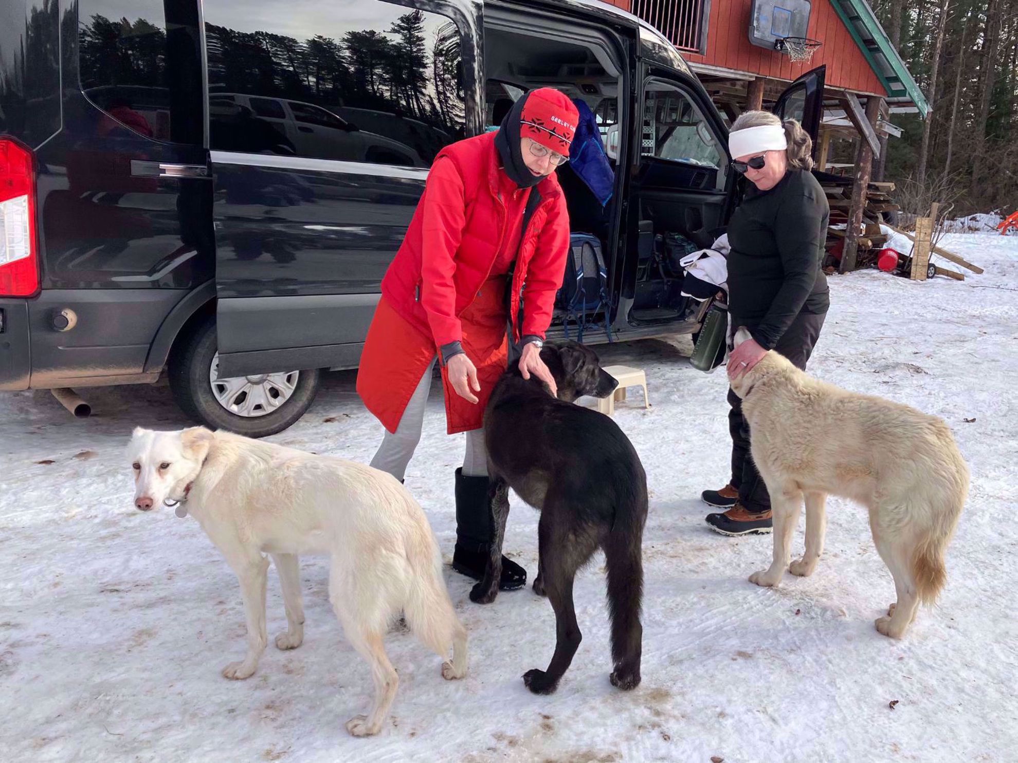 Picture of Dog Sledding and Winter Fun Picture of Dog Sledding and Winter Fun