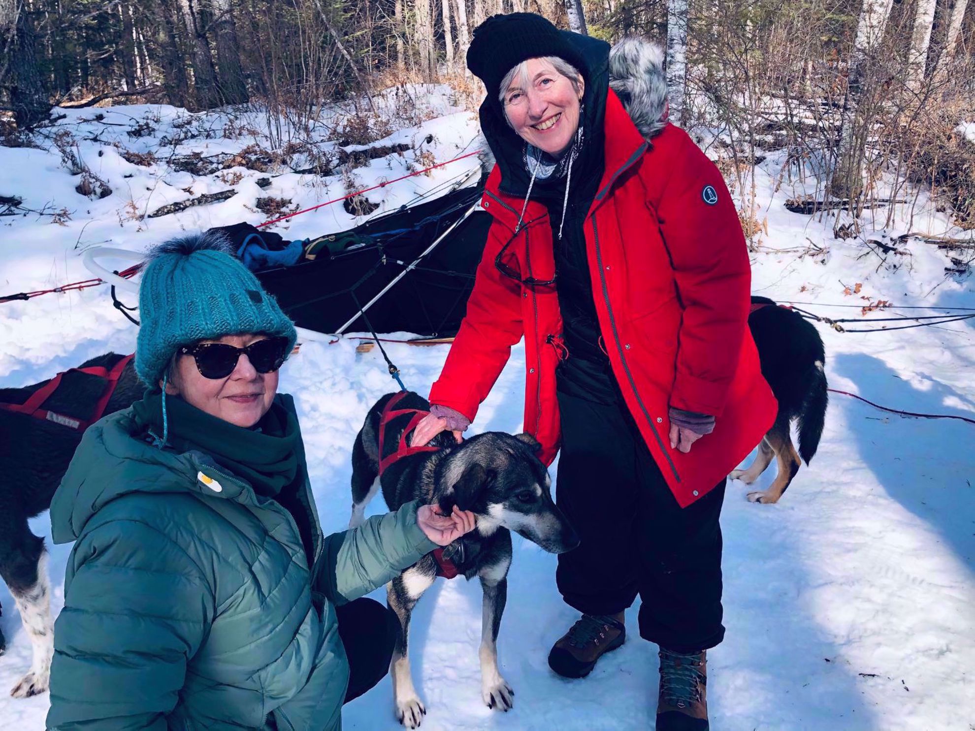 Picture of Dog Sledding and Winter Fun Picture of Dog Sledding and Winter Fun
