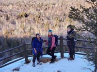 Picture of Dog Sledding and Winter Fun Picture of Dog Sledding and Winter Fun