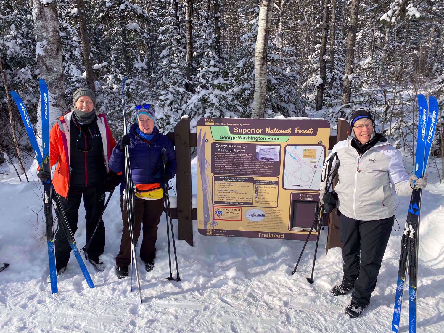 Picture of Dog Sledding and Winter Fun