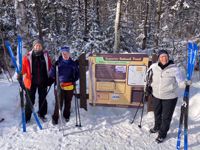 Picture of Dog Sledding and Winter Fun Picture of Dog Sledding and Winter Fun
