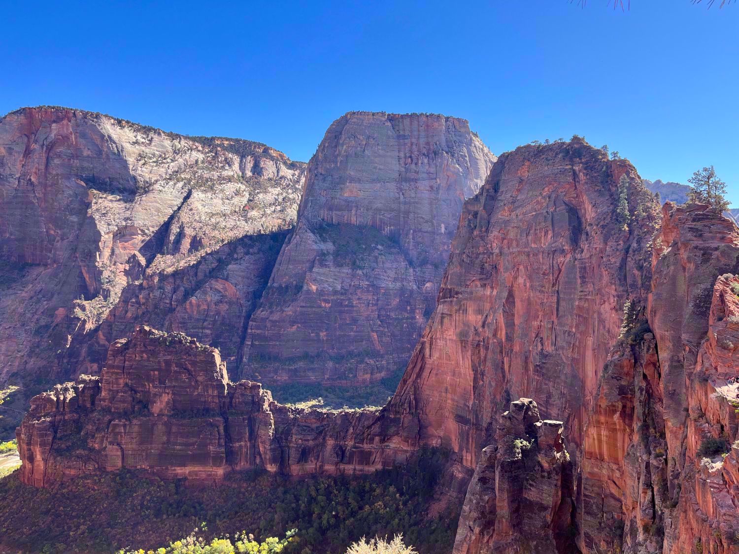 Zion National Park Utah Large Red Sedimentary Rock