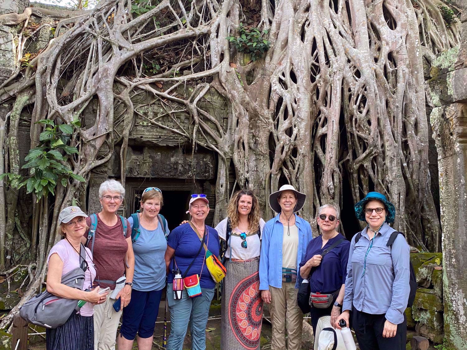 Vietnam Rooted Tree