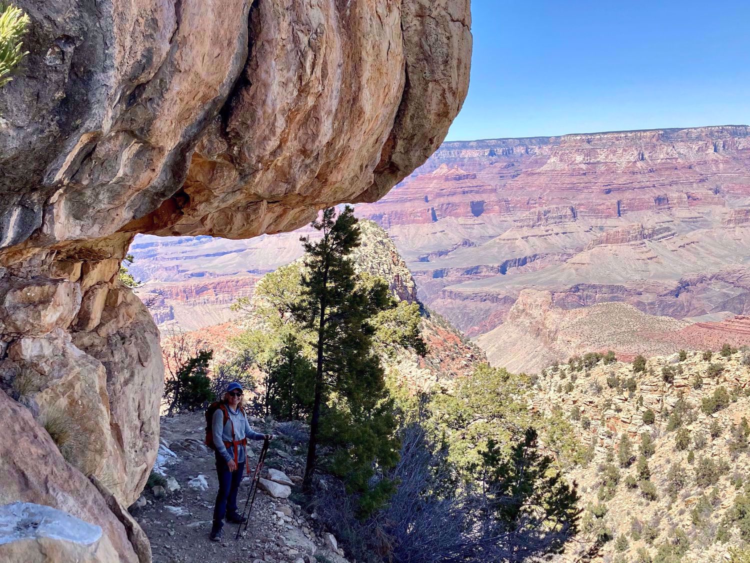Grand Canyon National Park Scenic Rocks and Canyon