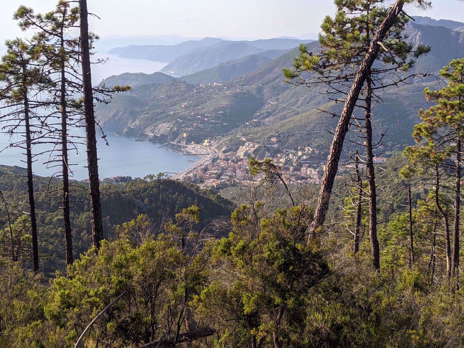 Cinque Terre Scenic View