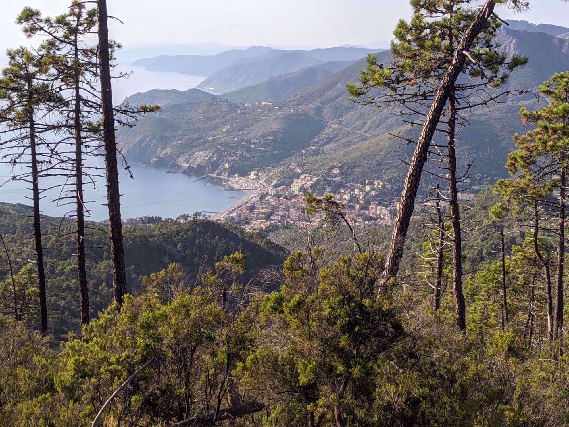 Cinque Terre Scenic View Cinque Terre Scenic View