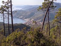 Cinque Terre Scenic View Cinque Terre Scenic View