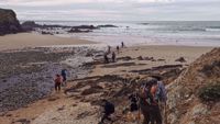 Portugal Beach Womens Hiking Group Portugal Beach Womens Hiking Group