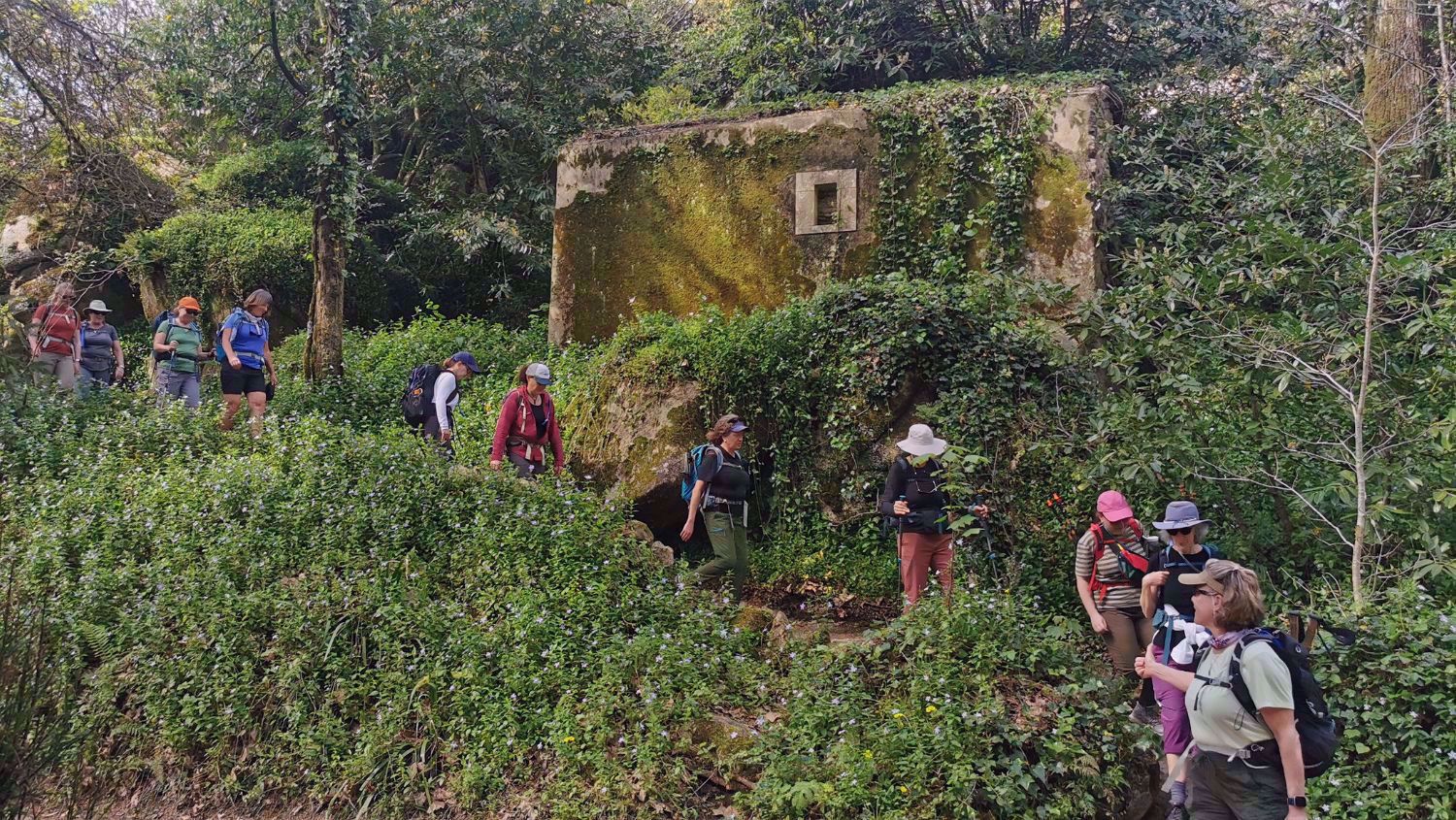 Portugal Green Forest Womens Hiking