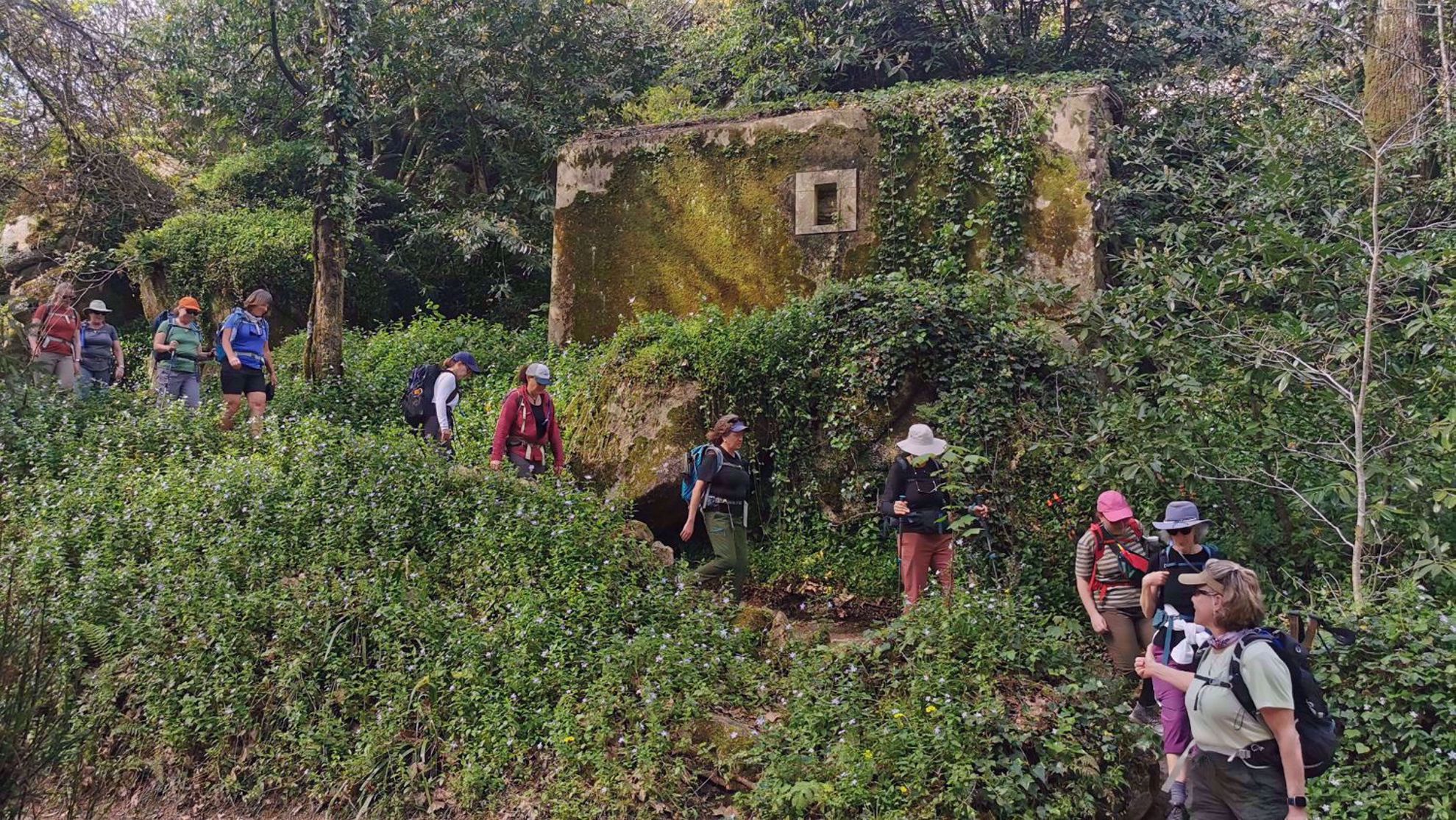 Portugal Green Forest Womens Hiking Portugal Green Forest Womens Hiking