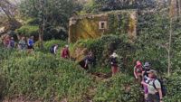 Portugal Green Forest Womens Hiking Portugal Green Forest Womens Hiking