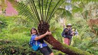 Portugal Womens Hiking Group in Greenery Portugal Womens Hiking Group in Greenery