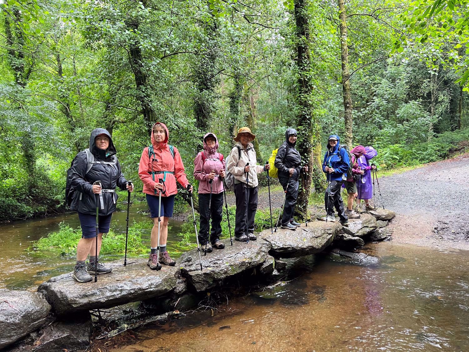 On the Camino de Santiago