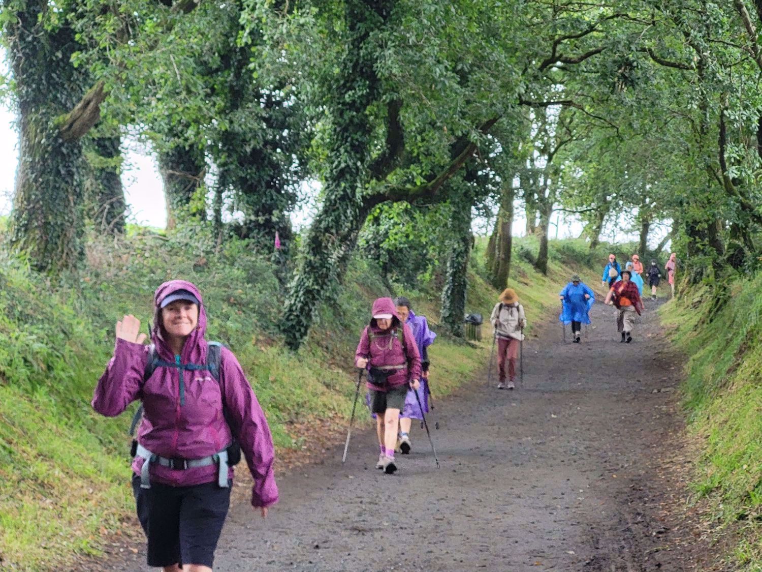 On the Camino de Santiago