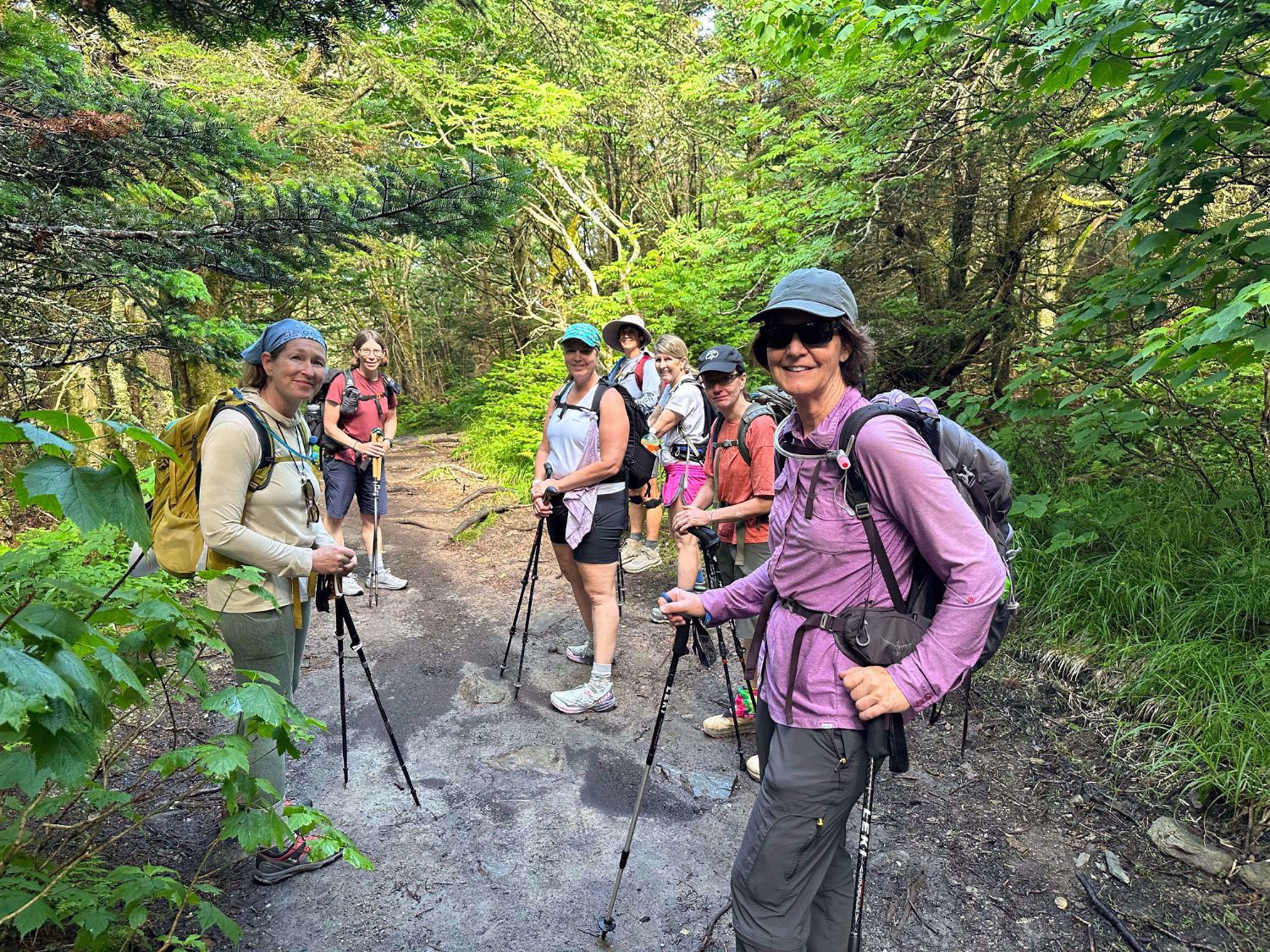appalachian trail massachusetts forest