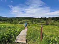 appalachian trail massachusetts green fields appalachian trail massachusetts green fields