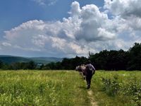 appalachian trail massachusetts green fields appalachian trail massachusetts green fields