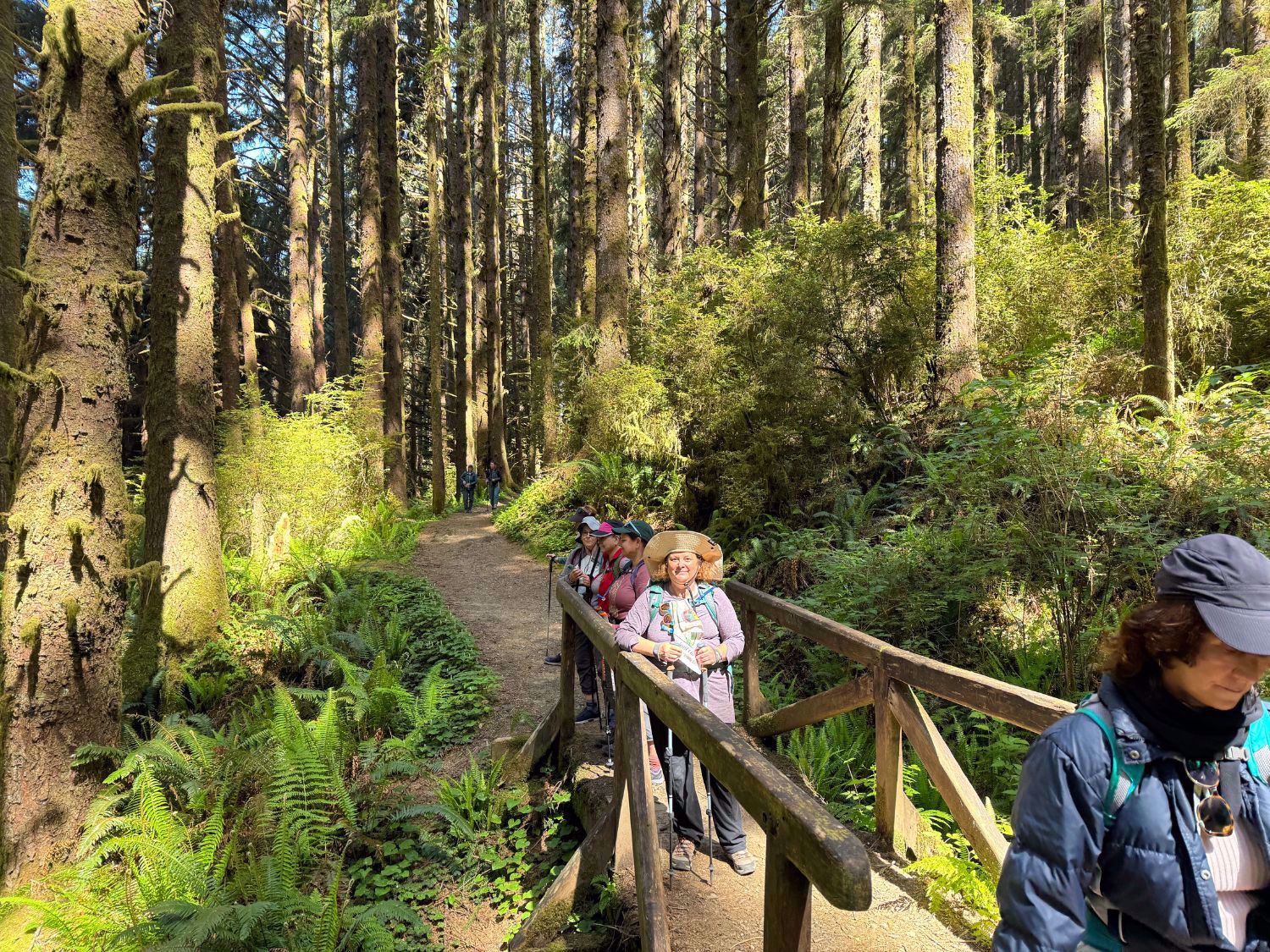 Redwood National and State Parks Bridge