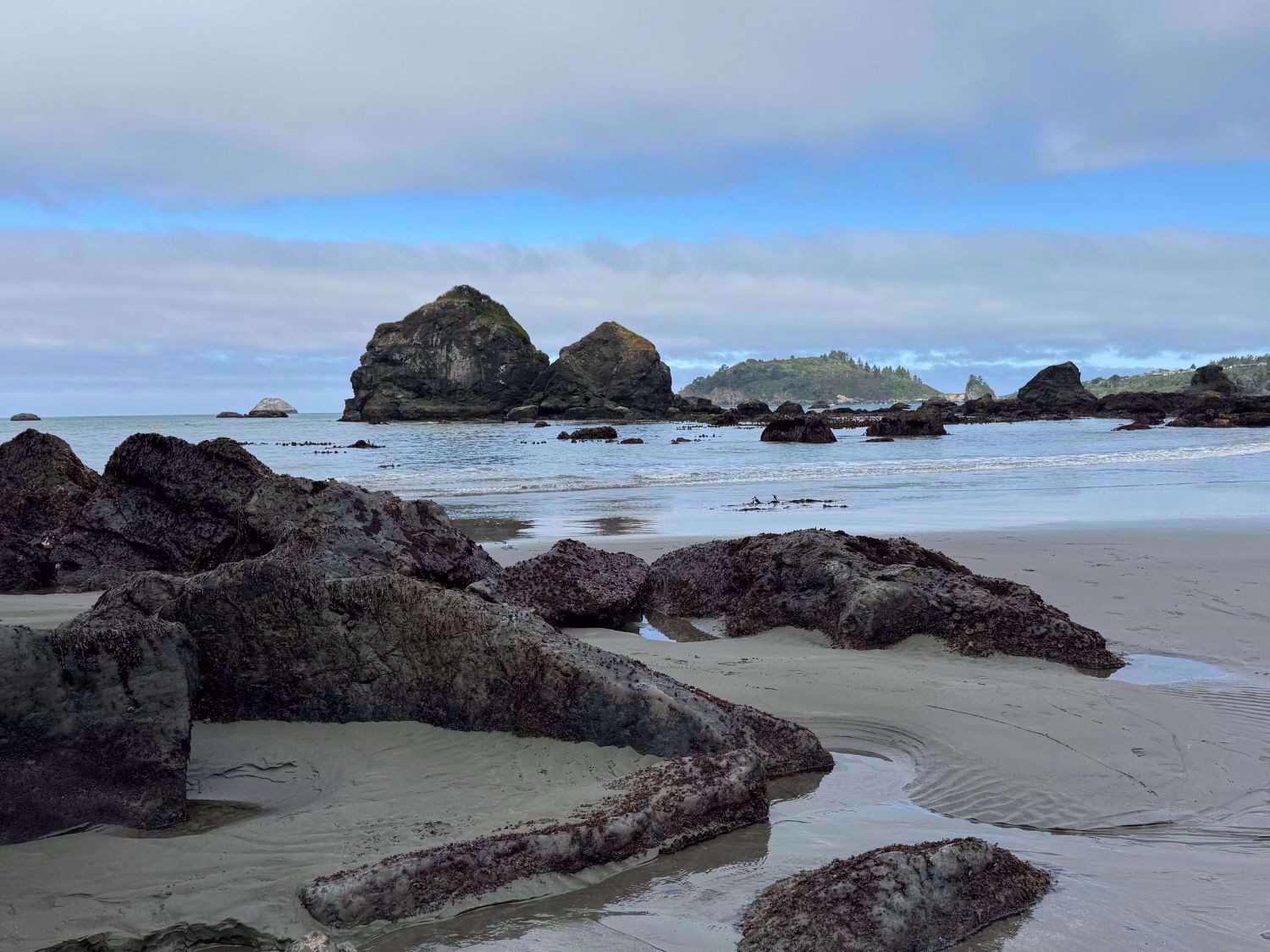 Redwood National and State Parks ocean front