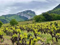 Provence France Mountain Winery Provence France Mountain Winery
