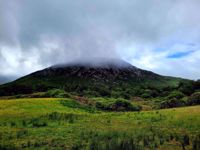 Ireland Foggy Mount Ireland Foggy Mount