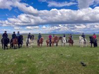Iceland Horseback Riding Iceland Horseback Riding