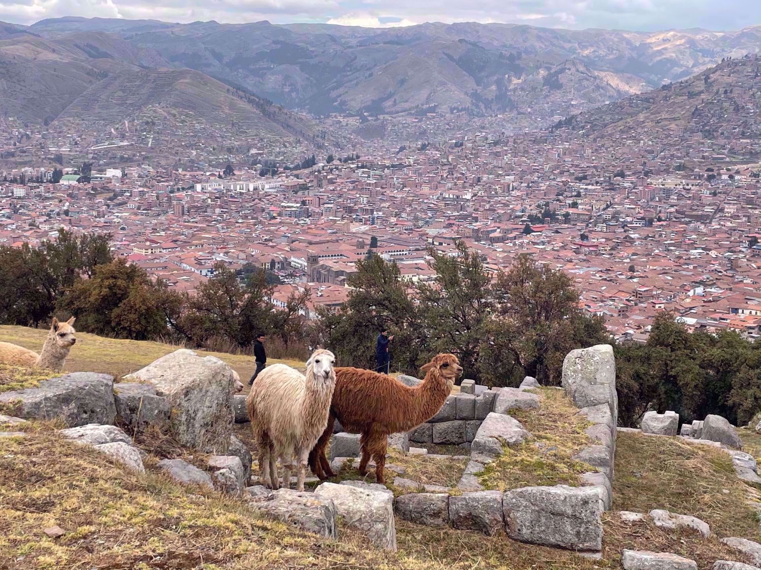 Cusco El Paca