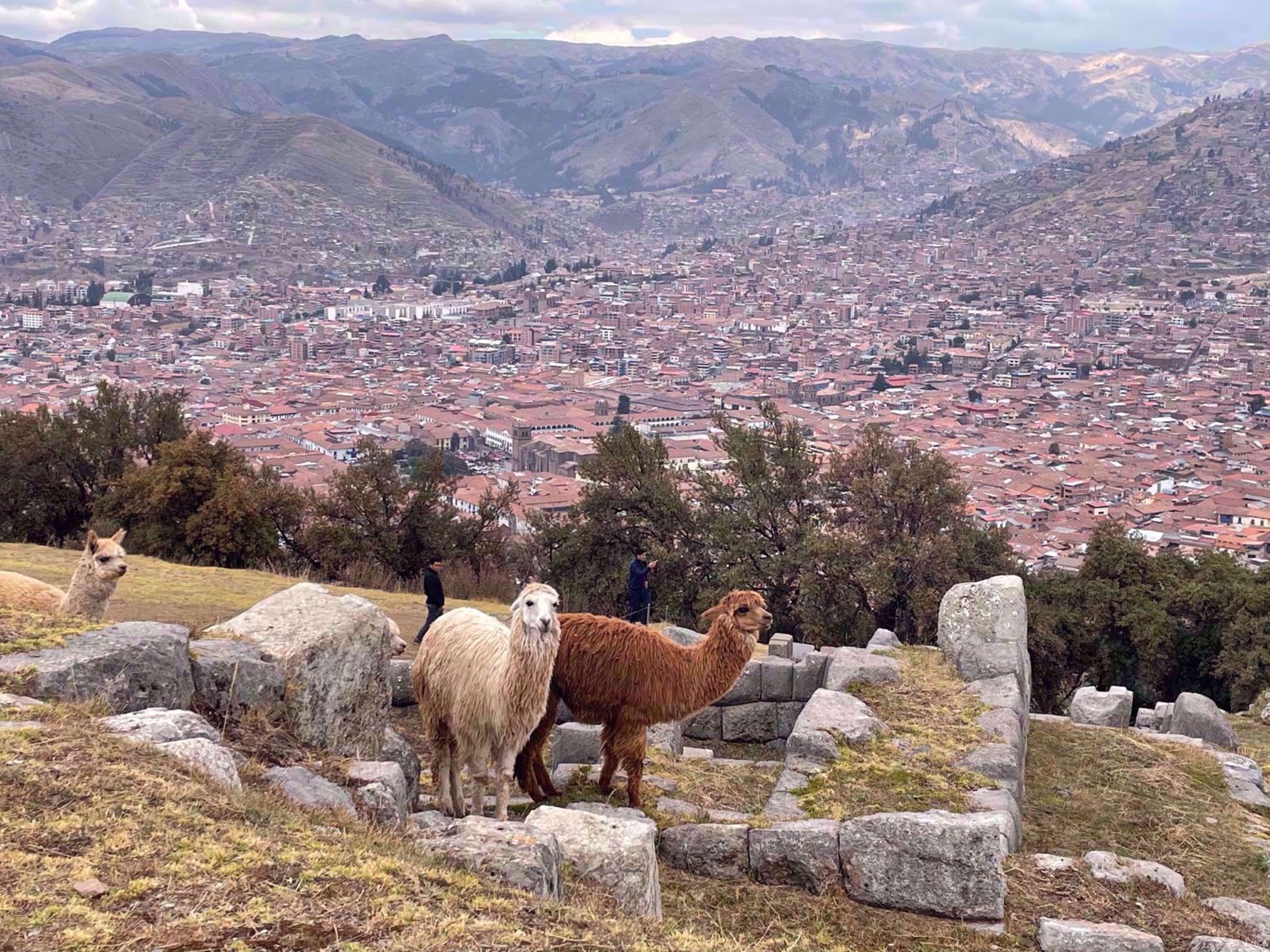 Cusco El Paca Cusco El Paca
