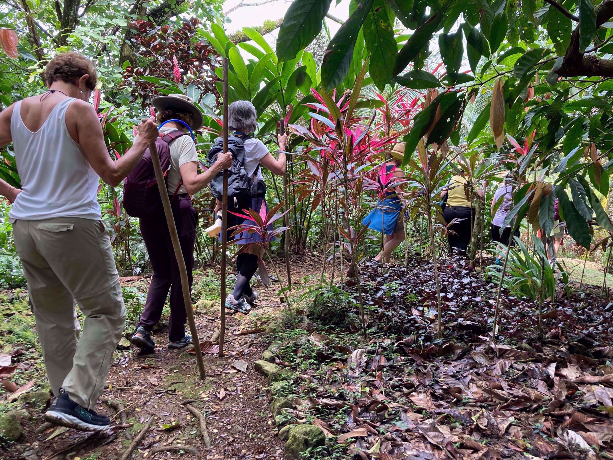 Panama Tropical Hiking Panama Tropical Hiking